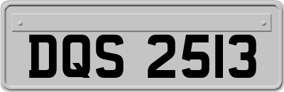 DQS2513