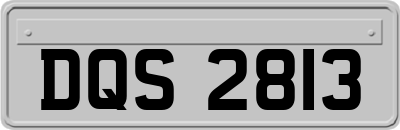 DQS2813