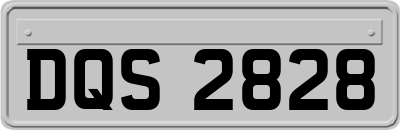 DQS2828