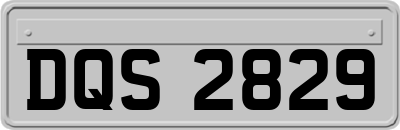 DQS2829