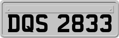 DQS2833