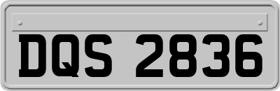 DQS2836