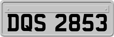 DQS2853