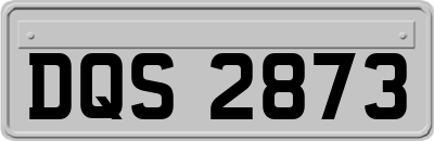 DQS2873