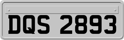 DQS2893
