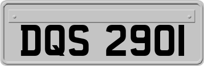 DQS2901