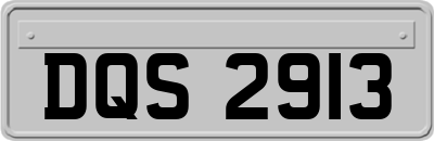 DQS2913
