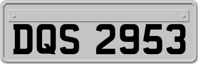 DQS2953