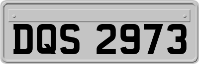 DQS2973