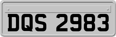 DQS2983