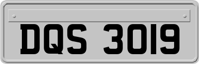 DQS3019