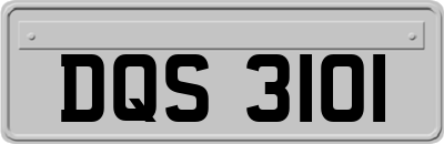 DQS3101