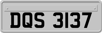 DQS3137