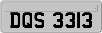 DQS3313