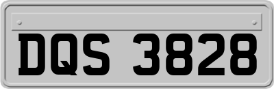 DQS3828