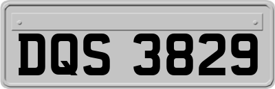 DQS3829
