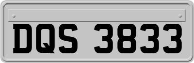 DQS3833