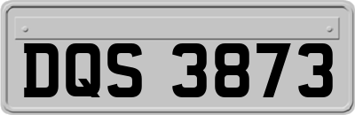 DQS3873