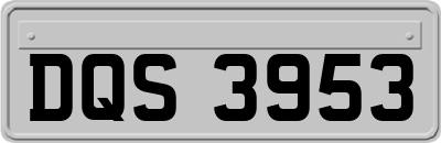 DQS3953