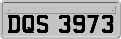 DQS3973