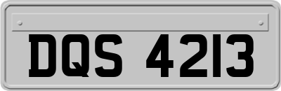 DQS4213
