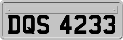DQS4233