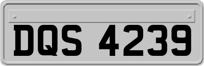 DQS4239