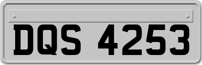 DQS4253