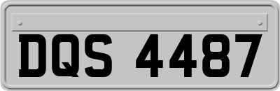 DQS4487