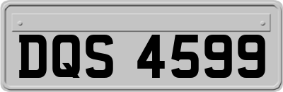 DQS4599
