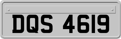 DQS4619