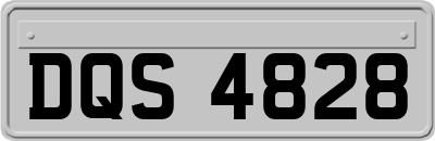 DQS4828