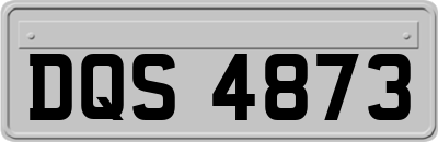 DQS4873