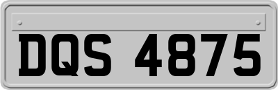 DQS4875