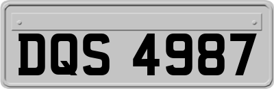 DQS4987
