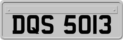 DQS5013