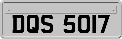 DQS5017