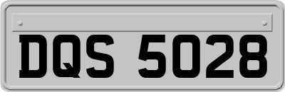 DQS5028