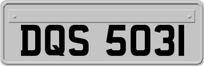DQS5031
