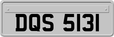 DQS5131