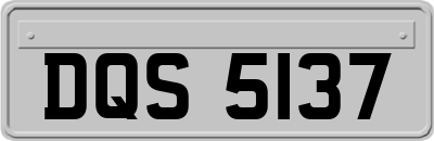 DQS5137