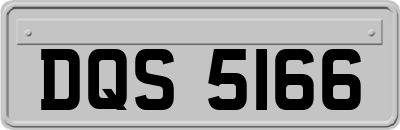 DQS5166