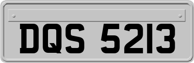 DQS5213