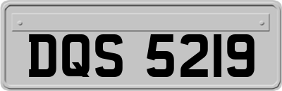 DQS5219