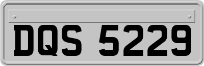DQS5229
