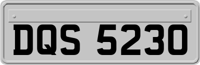 DQS5230