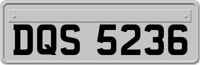 DQS5236