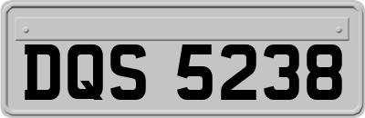 DQS5238