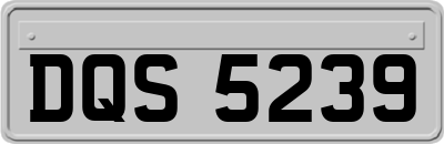 DQS5239