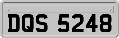 DQS5248